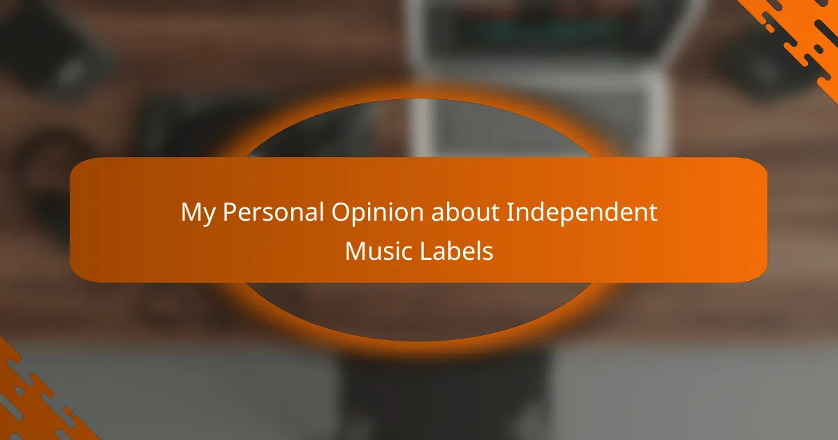My Personal Opinion about Independent Music Labels